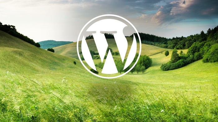 WordPress Website Design Services